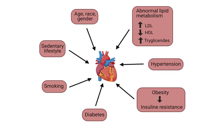 Cardiometabolism (Research > Research lines) | iCor | Institut del Cor del germans Trias i Pujol