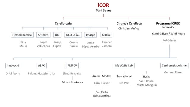 en Insuficiència Cardíaca i Regeneració: ICREC (Investigació > Grups d'Investigació) | iCor | Institut del Cor del germans Trias i Pujol