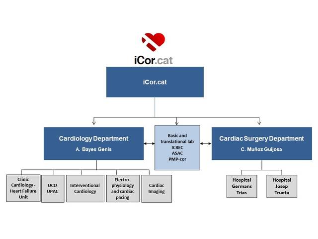 Grups d'Investigació (Investigació) | iCor | Institut del Cor del germans Trias i Pujol